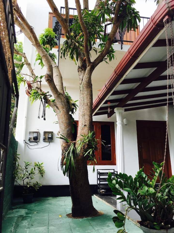 House Of Seya Bed & Breakfast Negombo Luaran gambar