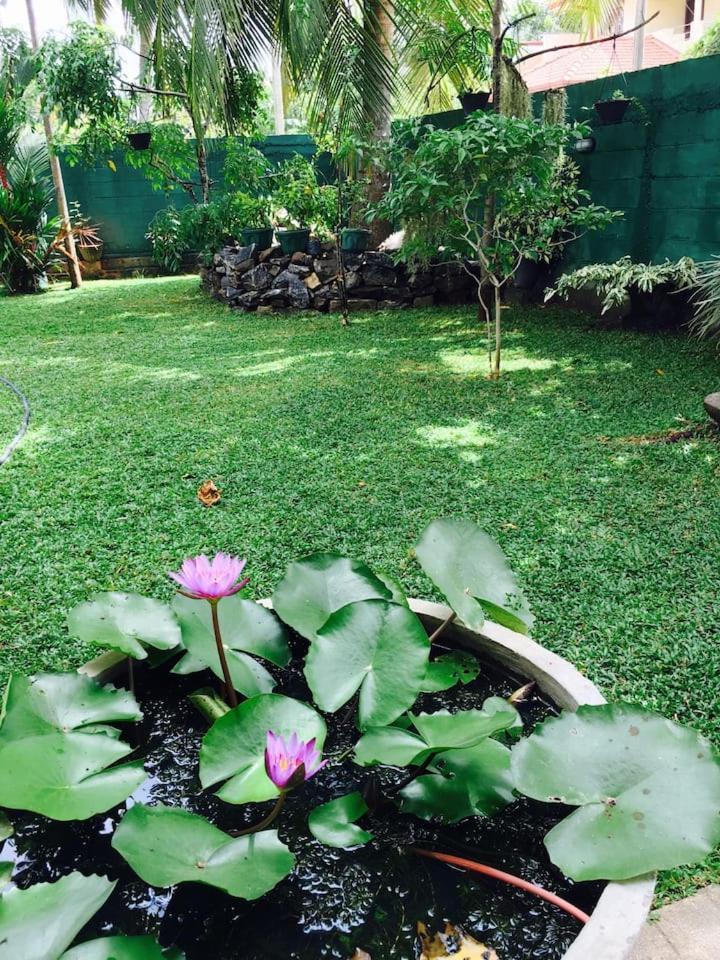 House Of Seya Bed & Breakfast Negombo Luaran gambar