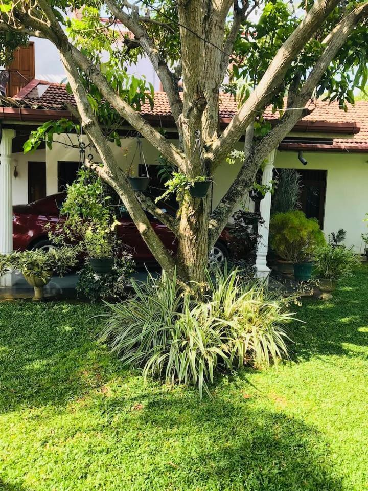 House Of Seya Bed & Breakfast Negombo Luaran gambar