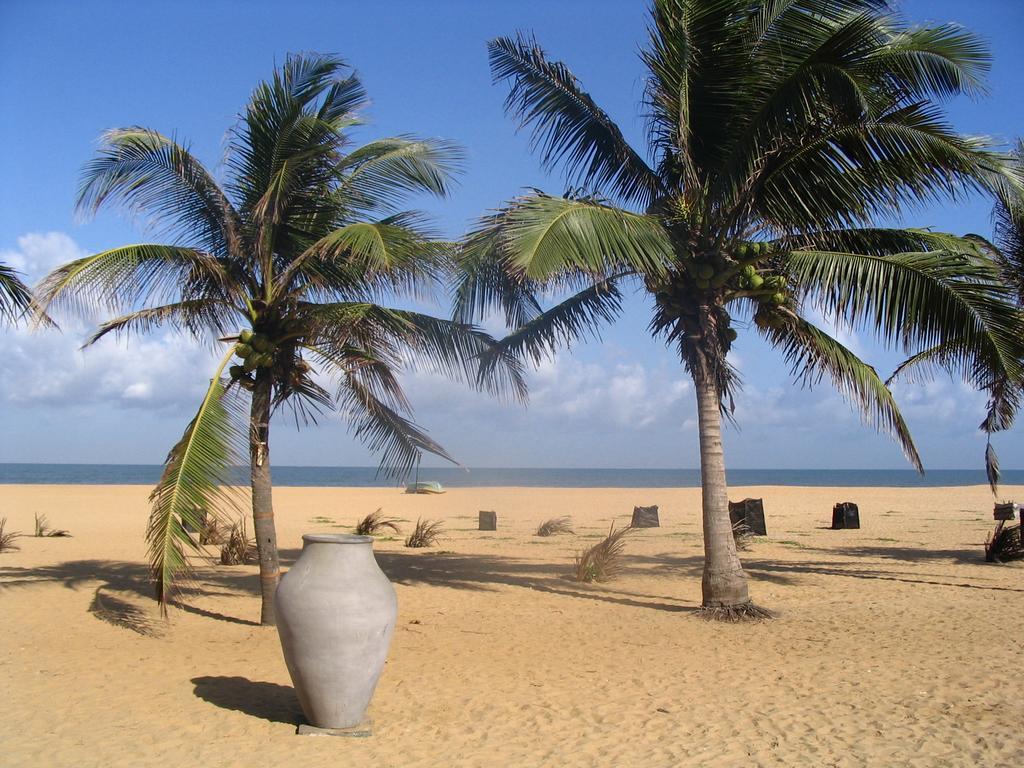 House Of Seya Bed & Breakfast Negombo Luaran gambar