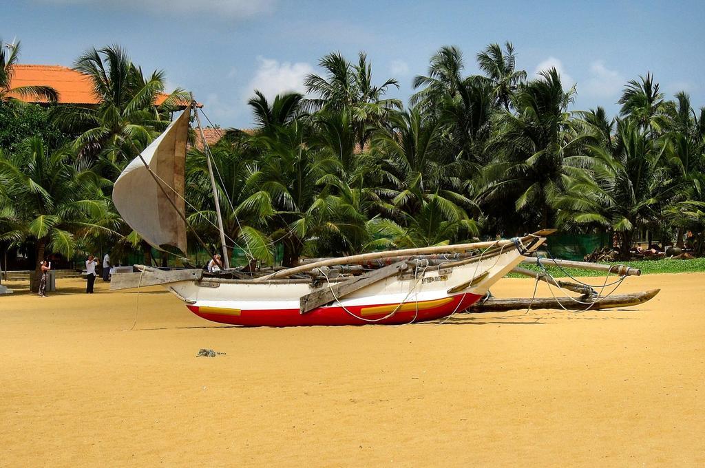 House Of Seya Bed & Breakfast Negombo Luaran gambar